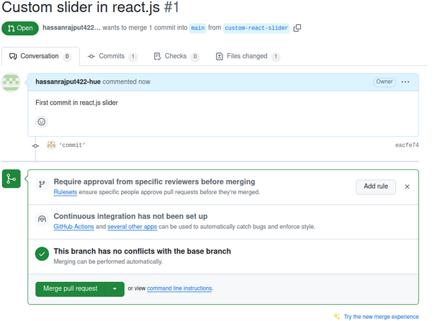 Create a pull request (PR)