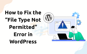File Type is Not Permitted