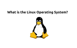 what is Linux operating system