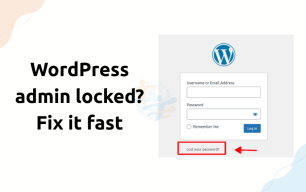 WordPress admin locked