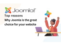 Top Reasons Why Joomla is the great Choice for Your Website?