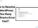 Too Many Redirects Error